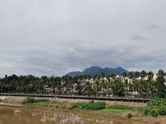 -中国科学院西双版纳热带植物园
