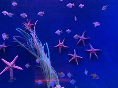 -沈阳海洋探索中心