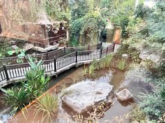 -聚缘堂·海鲜私房菜(松岭路店)