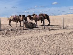 -库伦旗银沙湾旅游景区