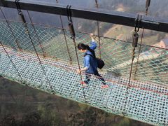 -梦幻奥陶纪景区