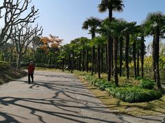 -黄兴公园