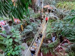 -正佳雨林生态植物园