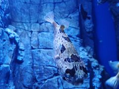 -成都浩海立方海洋公园