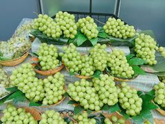 -水果地带(银泰城店)