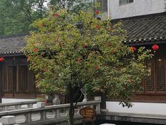 -麒麟小院·老九江菜(安平路店)