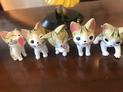 -宠爱国际动物医院·消化内科·心肾内科·ISFM猫友好(望京店)