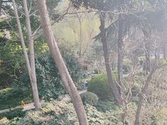 -静安公园(静安寺街道)