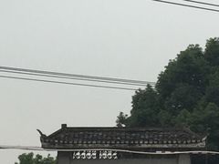 -陶辛水韵