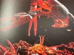 -杨氏青龙虾·羊蝎子(托乐嘉店)