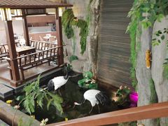 -聚春园自助餐厅(东街口店)
