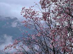 -九皇山景区