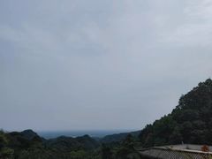 -青城山