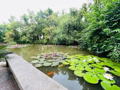 -中国科学院西双版纳热带植物园