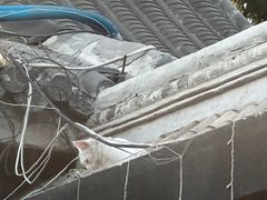 -毛辣果·贵州红酸汤牛肉火锅(西单店)