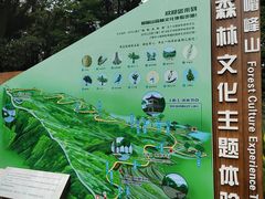 -广州市帽峰山景区