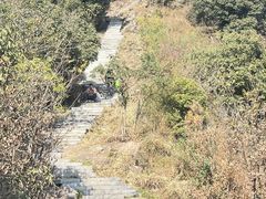 -午潮山国家森林公园