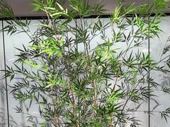 -绿茶餐厅(青岛城阳万象汇店)