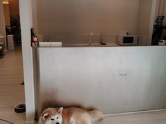 -YCHL Studios健身工作室(市二宫店)