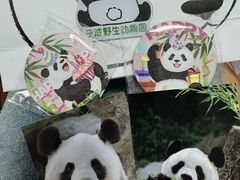 -宁波野生动物园