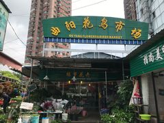 -曲阳花鸟市场(曲阳路店)