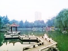 -西苑公园