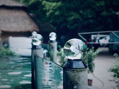 -天怡·鱼工厂(梅溪湖店)