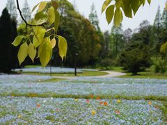 -上海滨江森林公园