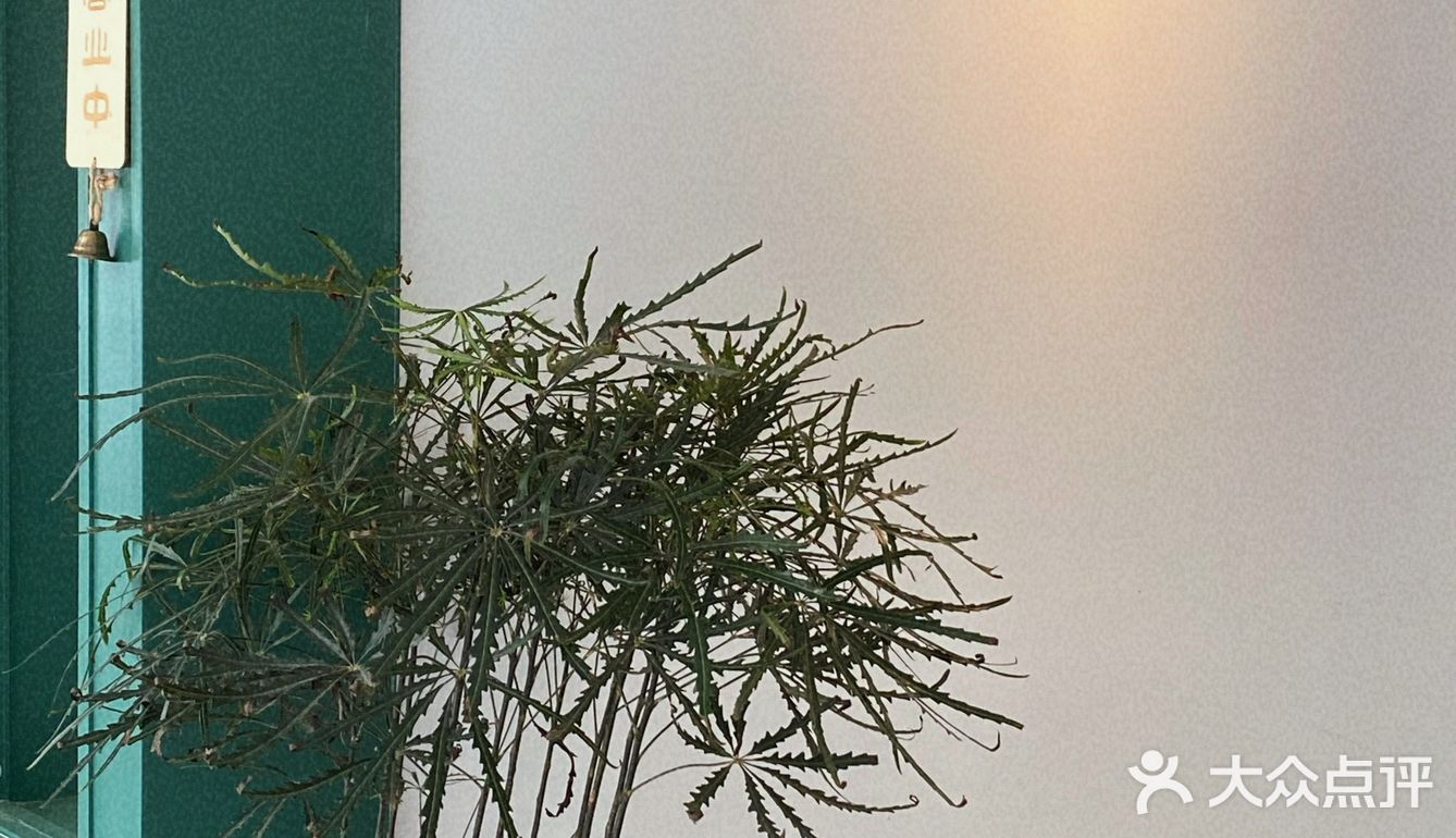 增城探店|Soul Mate |绿系复古夏日风下午茶