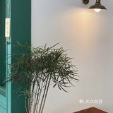 增城探店|Soul Mate |绿系复古夏日风下午茶