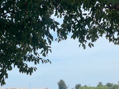 -南海子公园