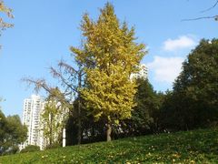 -苏州河梦清园环保主题公园