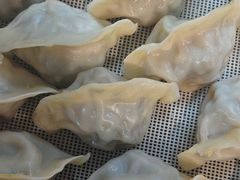 -来相会饺子·新辽菜(甘家口店)