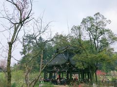 -常德桃花源景区