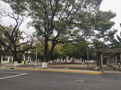 -同济大学(沪西校区)