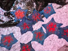 -沈阳海洋探索中心