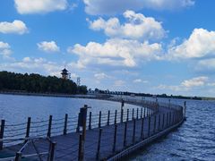 -溱湖国家湿地公园