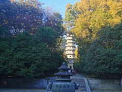 -灵谷景区