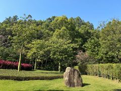 -顺峰山公园