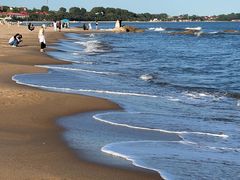 -北戴河转鱼·炒螃蟹酱餐厅