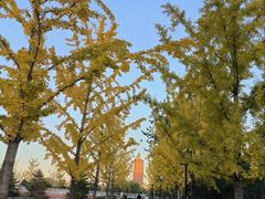 -西海子公园