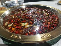 -重庆火锅水库鱼庄(南油店)