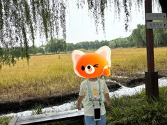-长兴太湖图影湿地文化园