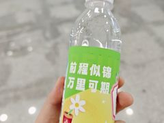 -潘家园(地铁站)