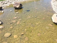 -南通洲际绿博园