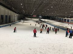 -绍兴启迪乔波冰雪世界