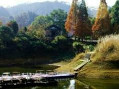 -千岛湖龙川湾