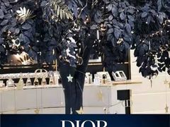 -Dior迪奥(上海世茂广场店)
