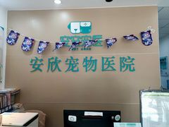 -安安宠医安欣宠物医院