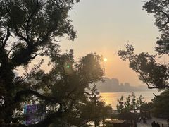 -江心屿景区